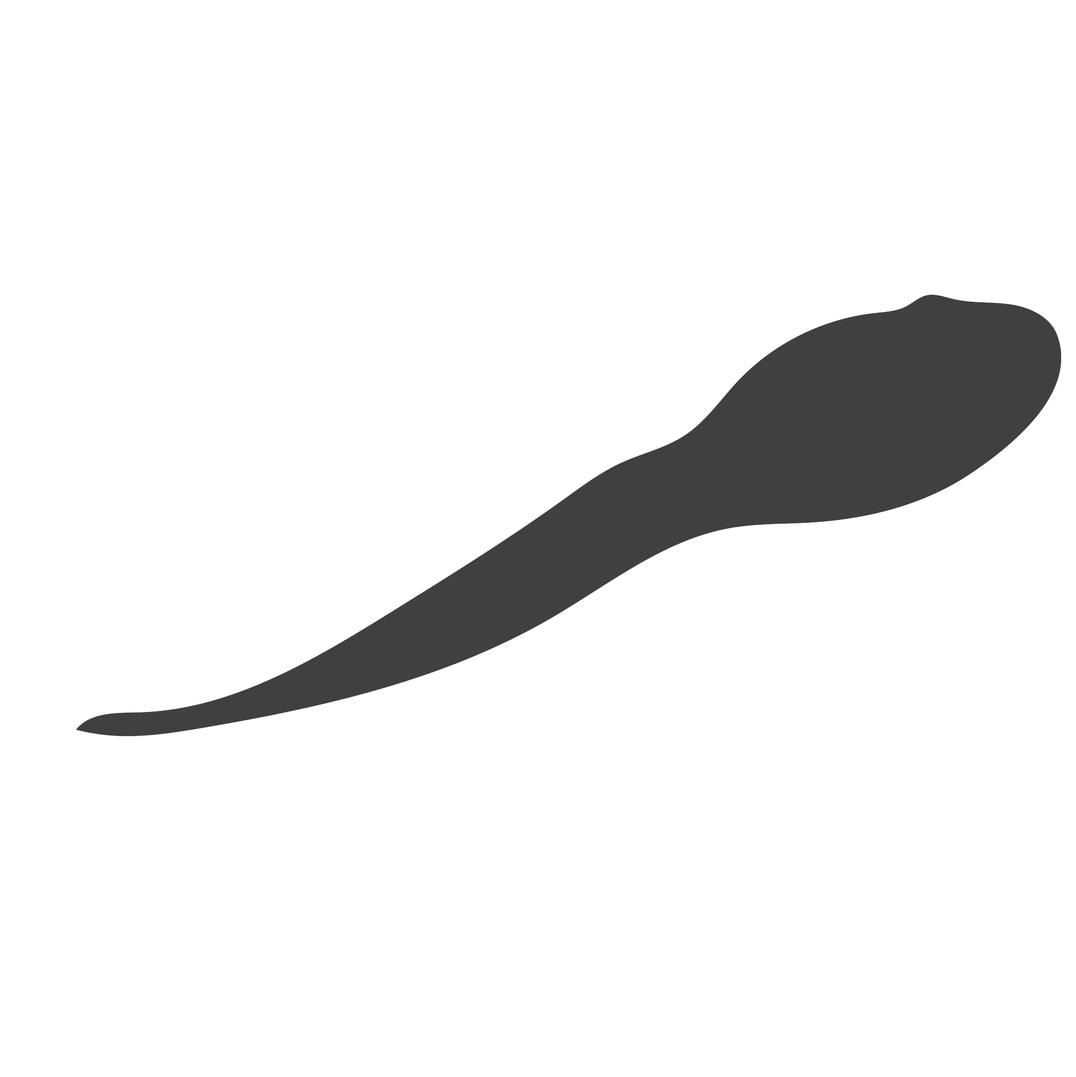 Transformation Icon 1b