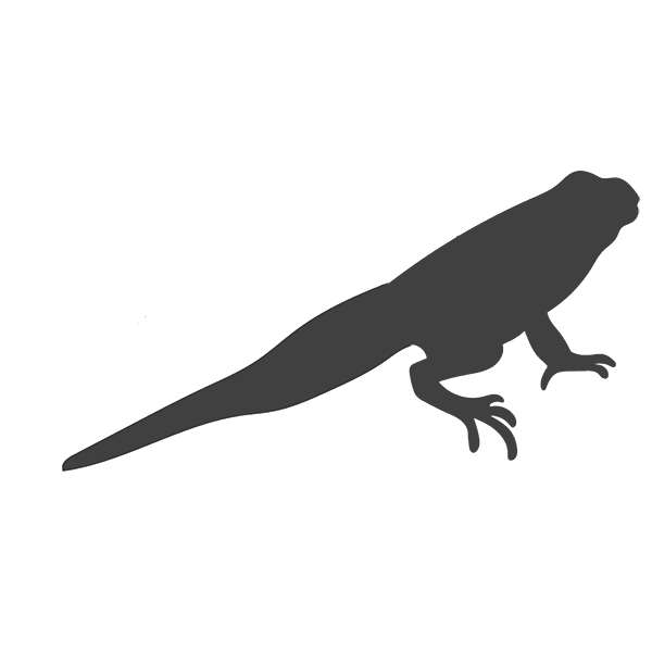 Transformation Icon 2b