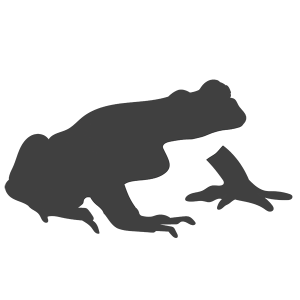 Transformation Icon 3b