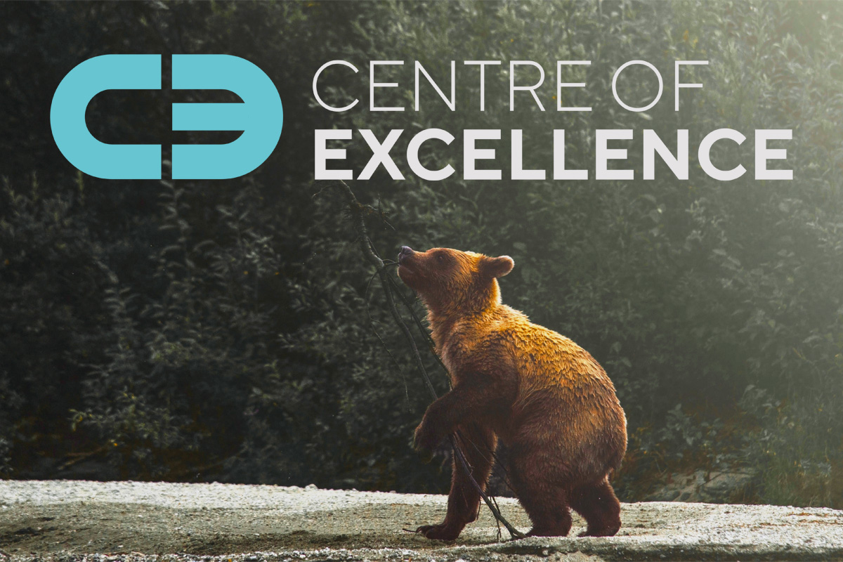 A bear carring a branch in its mouth and paws, accompanied by the logo of "Centre of Excellence".
