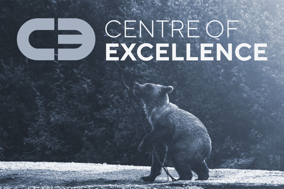 A bear carring a branch in its mouth and paws, accompanied by the logo of the Centre of Excellence. The entire image is desaturated.
